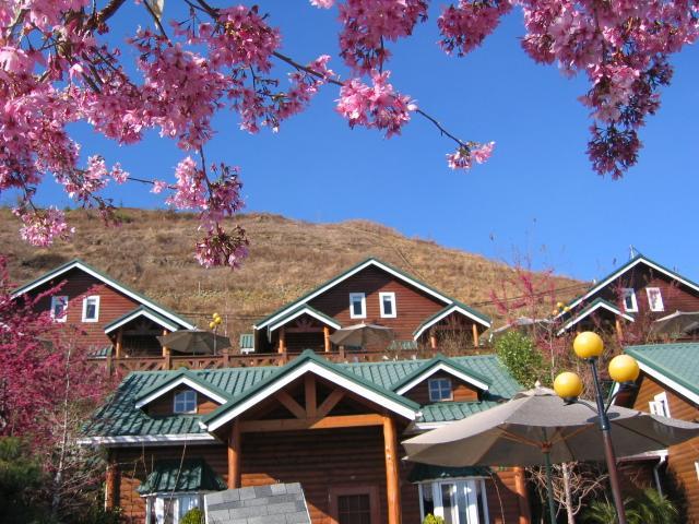 清境豐田桂林山莊民宿 Renai Exterior photo